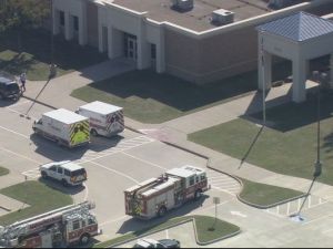 middle school children stung by bees